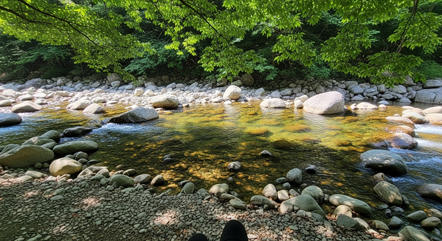 3 Valley Trips with My 5-Year-Old: Parking, Depth & Shade Compared